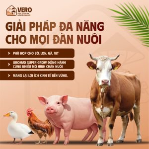 Siêu Vỗ Béo GROMAX