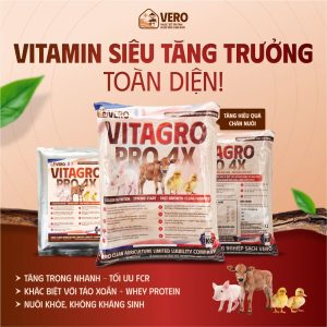 Vỗ Béo VITAGRO