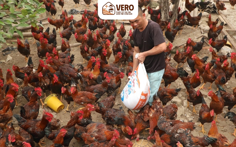 Quản lý dinh dưỡng một cách khoa học