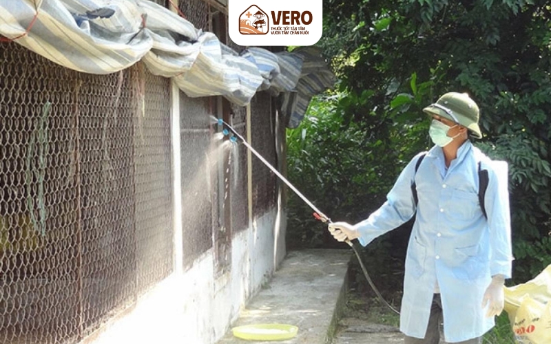 Sát trùng chuồng trại bằng chế phẩm sinh học