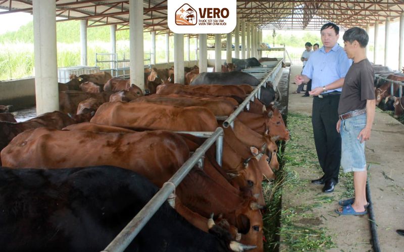 Sản phẩm được thu mua với giá cao hơn