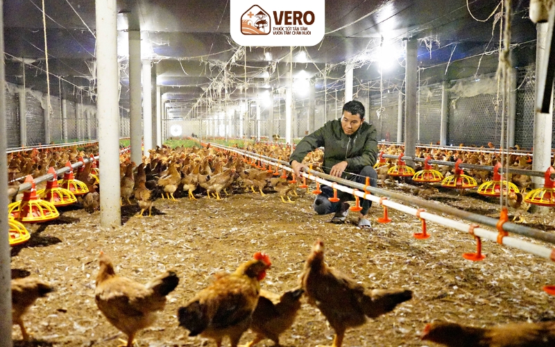 Đa dạng khẩu phần ăn