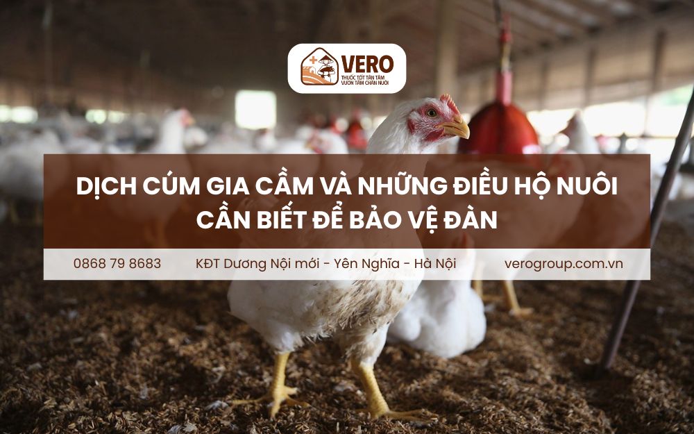Dịch cúm gia cầm