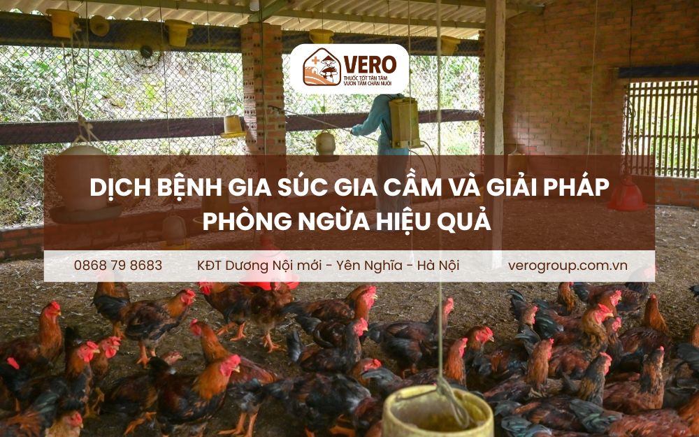 Dịch bệnh gia súc gia cầm