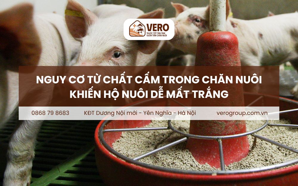 chất cấm trong chăn nuôi