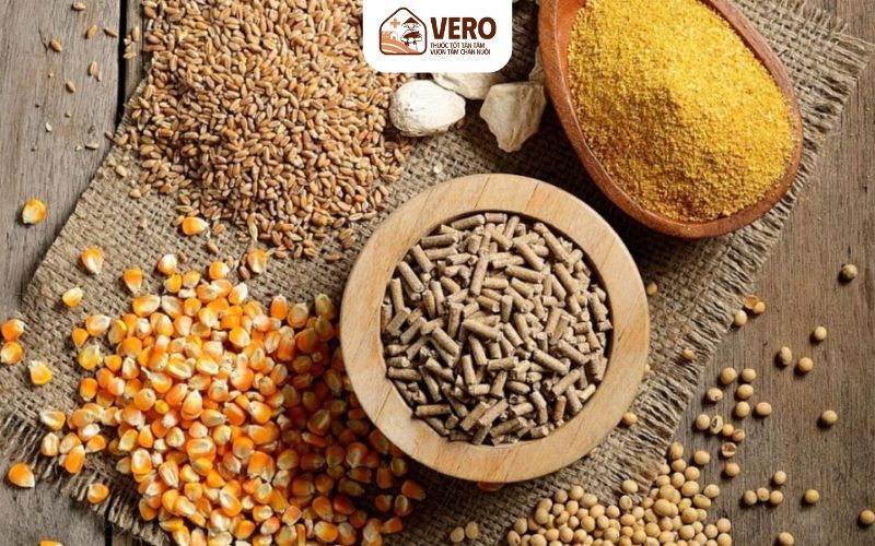 Sử dụng acid hữu cơ thay cho kháng sinh giúp đàn không bị ngộ độc