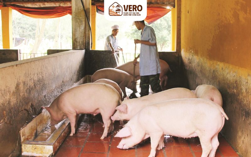 Bà con nên sử dụng sản phẩm có nguồn gốc rõ ràng