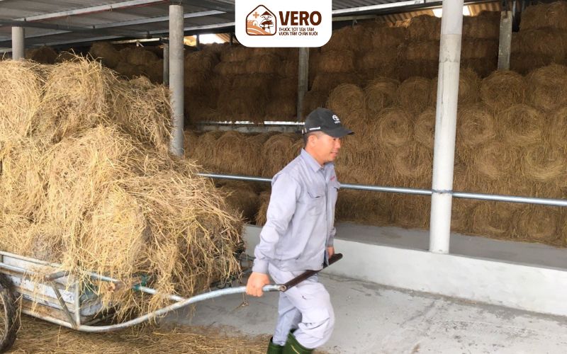 Giúp giảm chi phí sản xuất và tăng lợi nhuận tăng nuôi