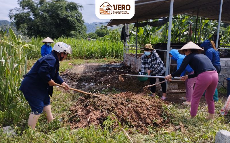 Sản xuất khí biogas từ chất thải chăn nuôi