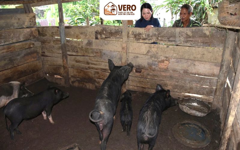 Hộ nuôi nhỏ lẻ ngày càng có nhiều cơ hội phát triển