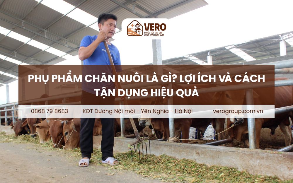 Phụ phẩm chăn nuôi là gì