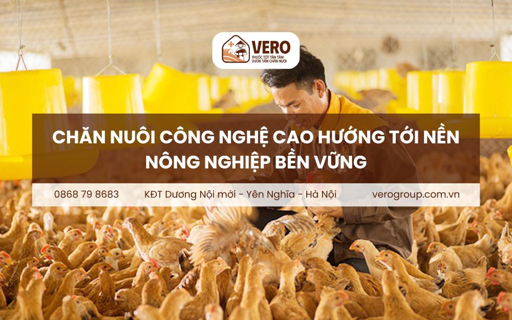 chăn nuôi công nghệ cao