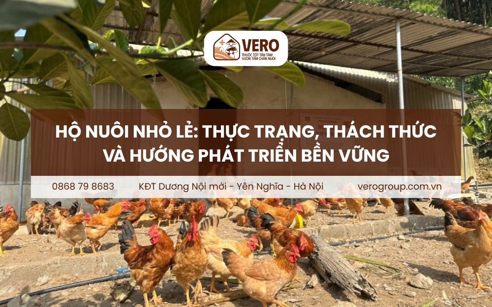 Hộ nuôi nhỏ lẻ