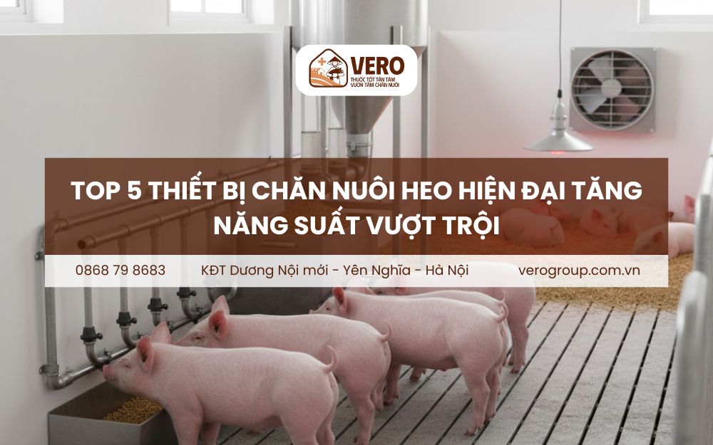 thiết bị chăn nuôi heo