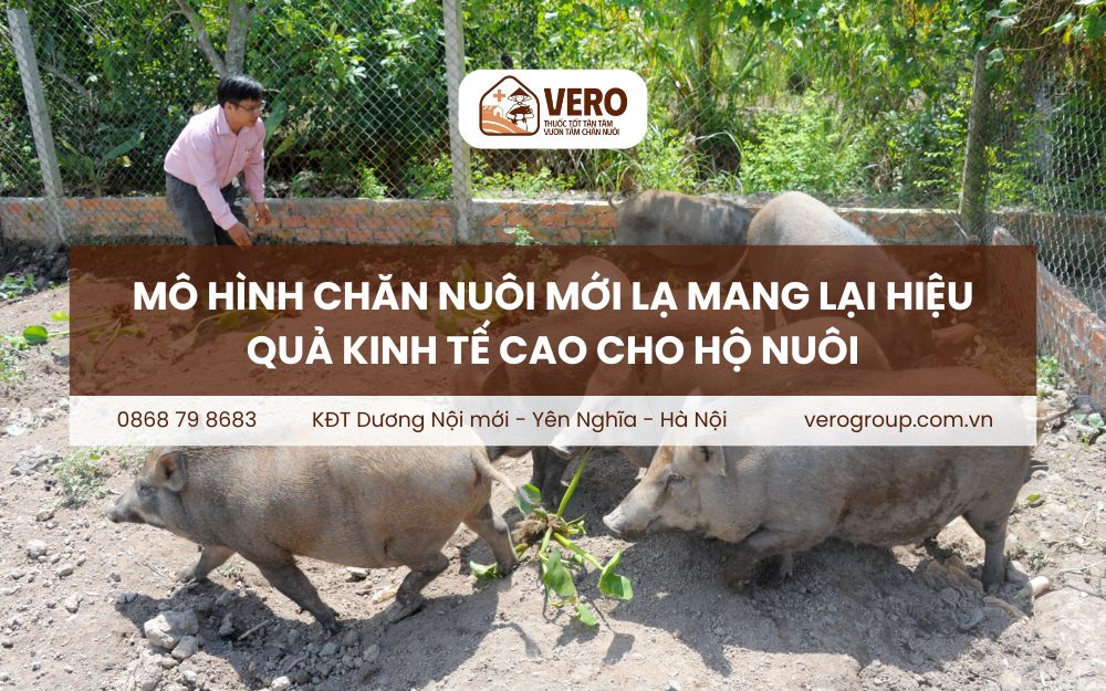 mô hình chăn nuôi mới lạ