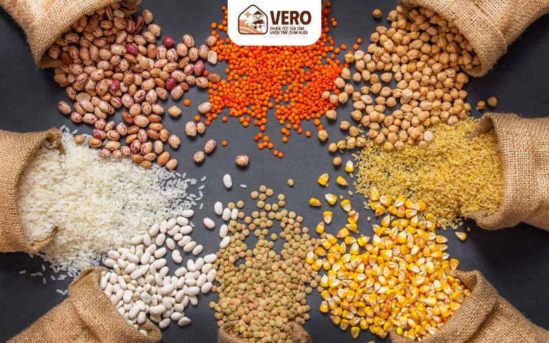 Chủ động dinh dưỡng và chất lượng nhờ máy nghiền thức ăn chăn nuôi