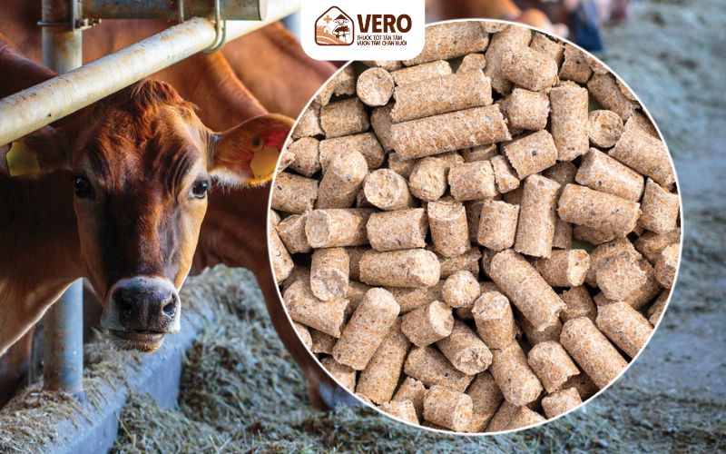 Dễ dàng phối trộn men vi sinh để nâng cao hiệu quả