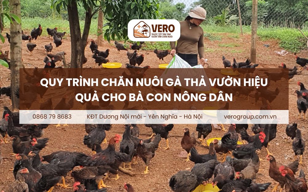 An toàn sinh học trong chăn nuôi