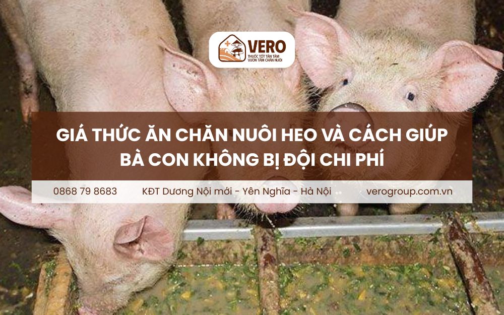 Giá thức ăn chăn nuôi heo
