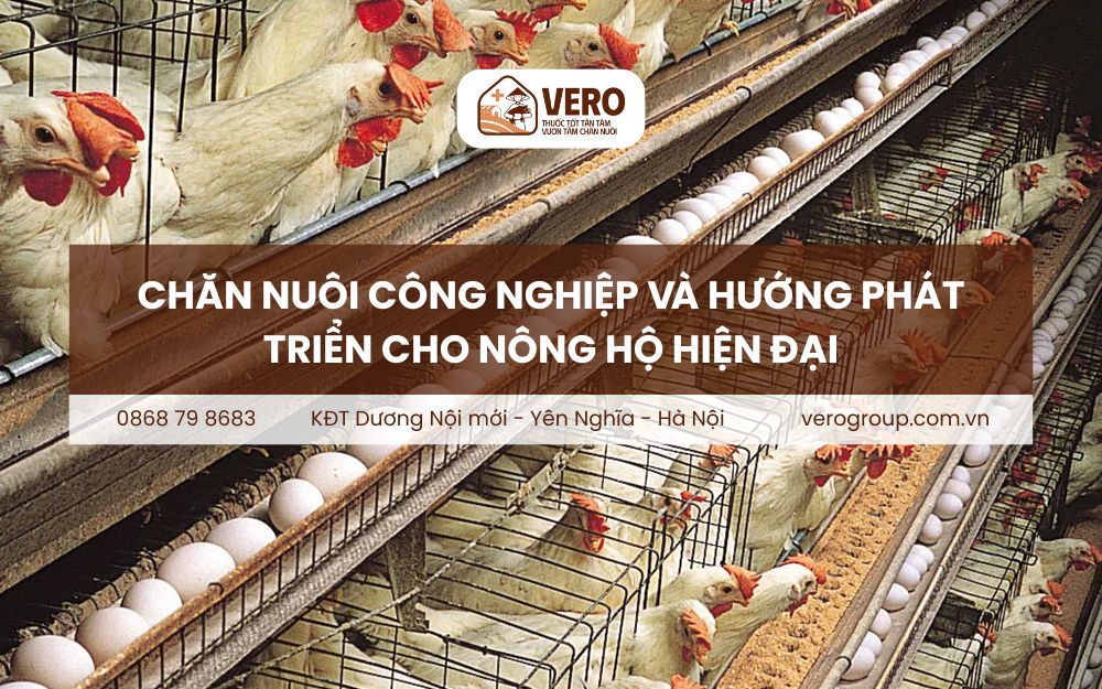 Chăn nuôi công nghiệp