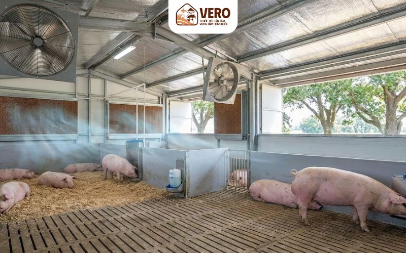 Nước uống là phần hỗ trợ không thể thiếu