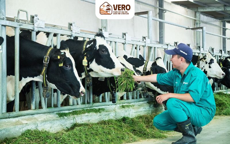 Sức đề kháng là yếu tố tạo sự khác biệt trong mô hình công nghiệp