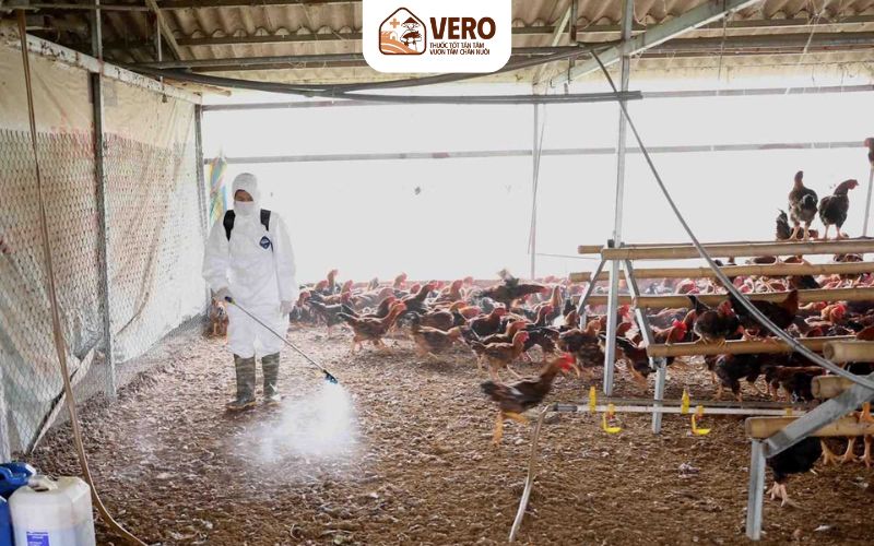 Sức đề kháng mạnh là chìa khóa quan trọng để giảm rủi ro dịch bệnh