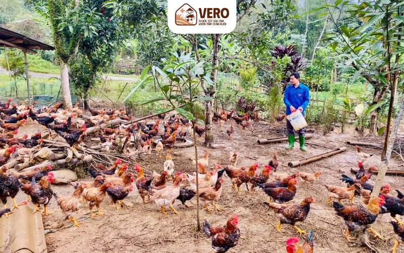 Quản lý stress là yếu tố then chốt