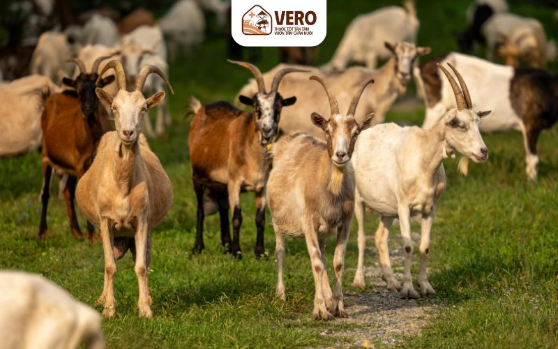 Thay đổi vận động và phản xạ