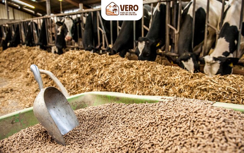 Ủ men thức ăn là gì và vì sao nhiều người áp dụng