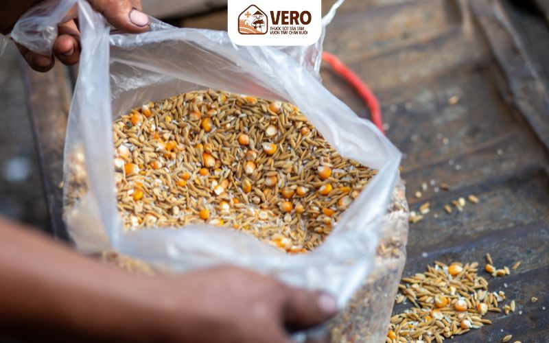 Độ ẩm phù hợp giúp men hoạt động