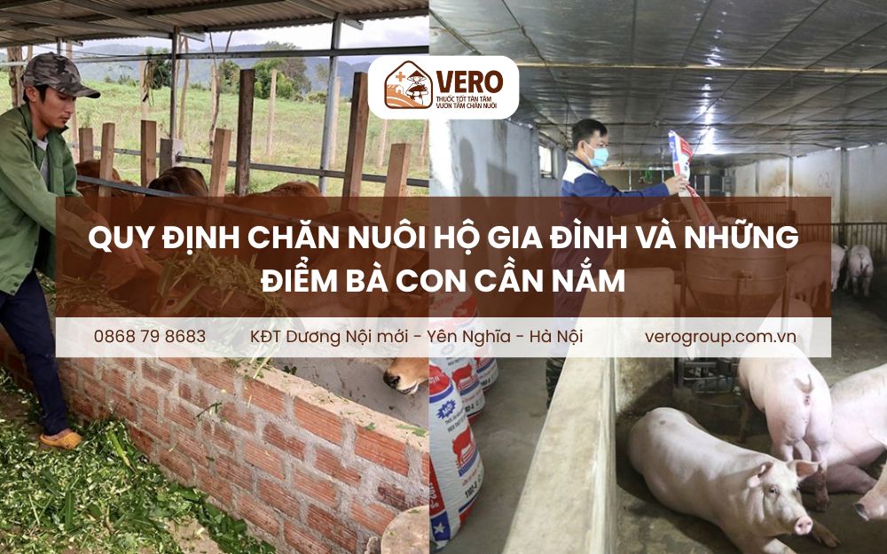 Quy định chăn nuôi hộ gia đình