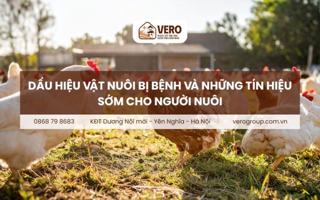 Dấu hiệu vật nuôi bị bệnh