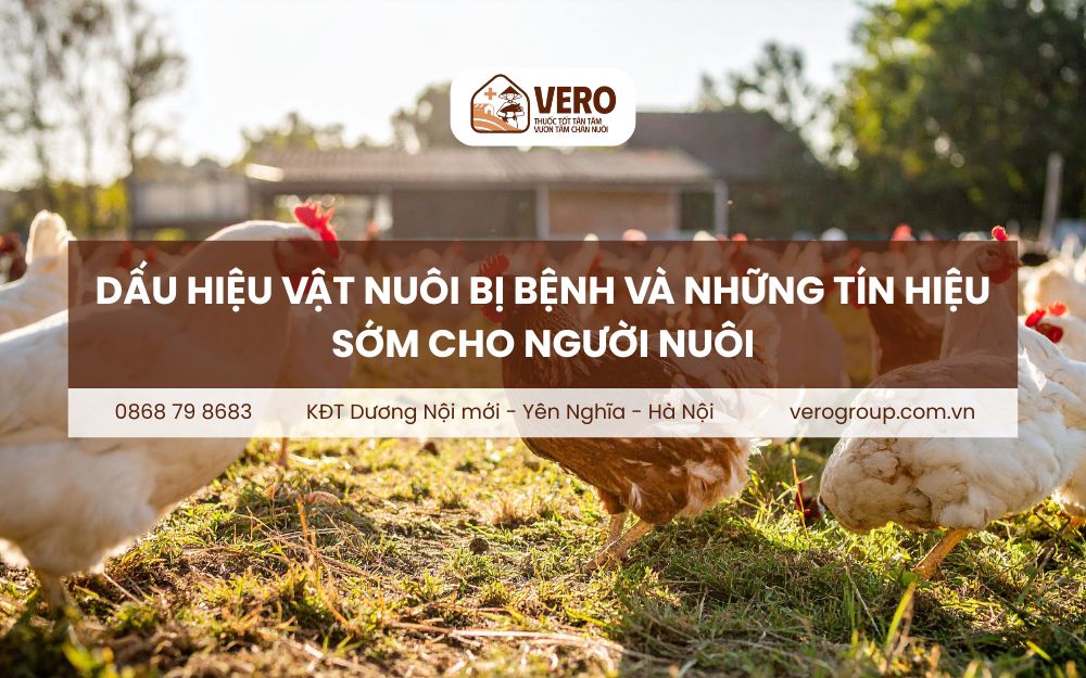 Dấu hiệu vật nuôi bị bệnh