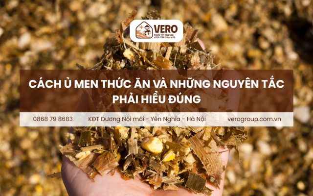 Cách ủ men thức ăn