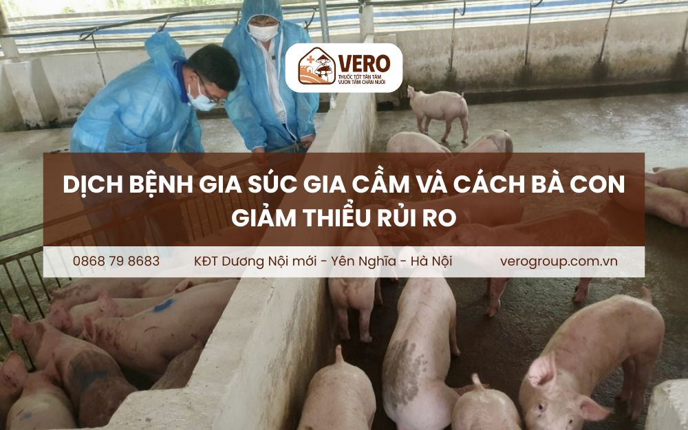 Dịch bệnh gia súc gia cầm